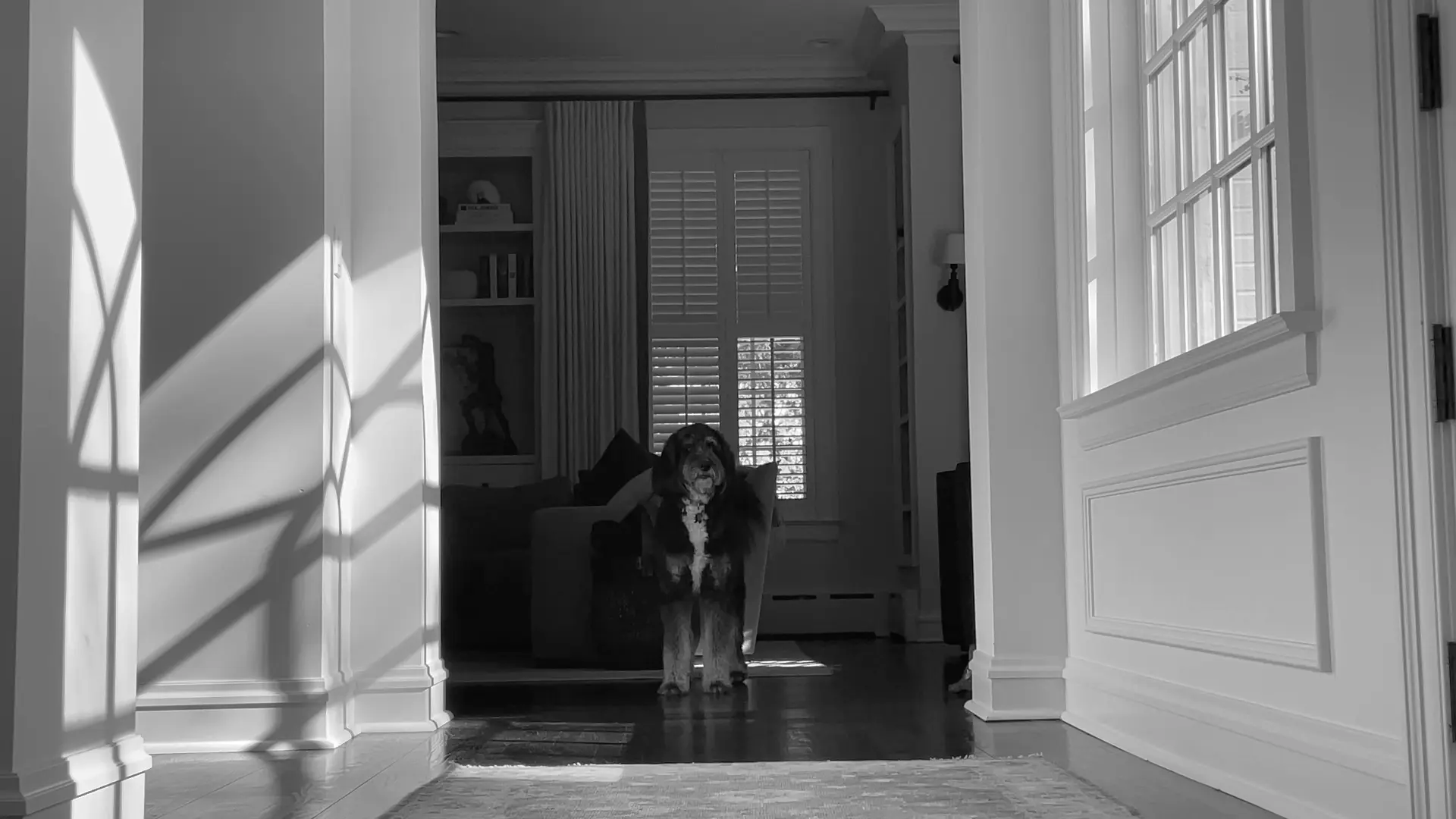 Coda — in the doorway light