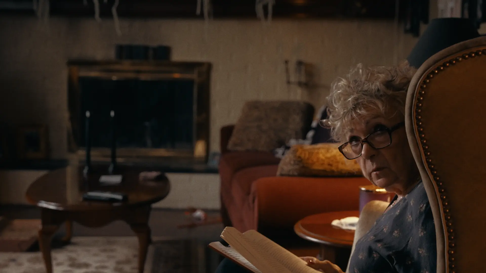 Afternoons at Otto's — a woman reading in her living room